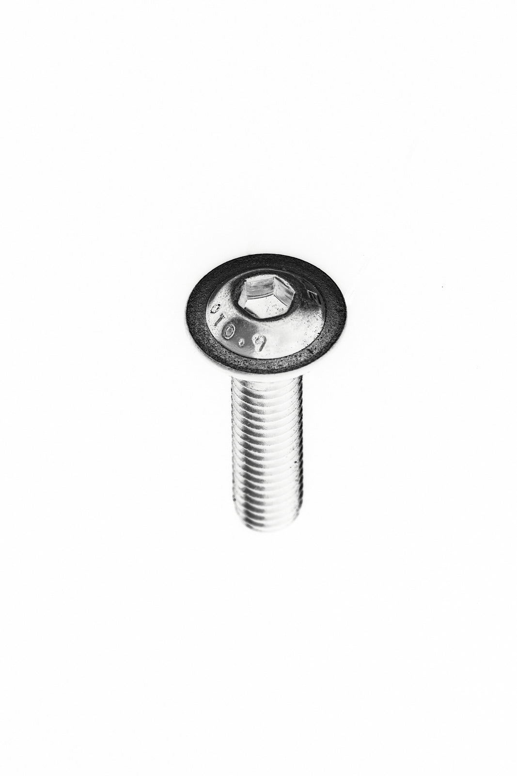 M6 L25 Bolt