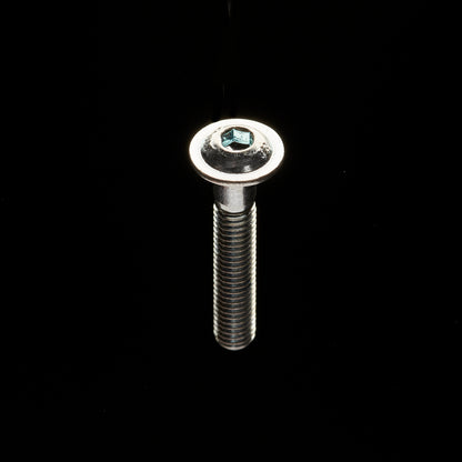 M6 L35 Bolt